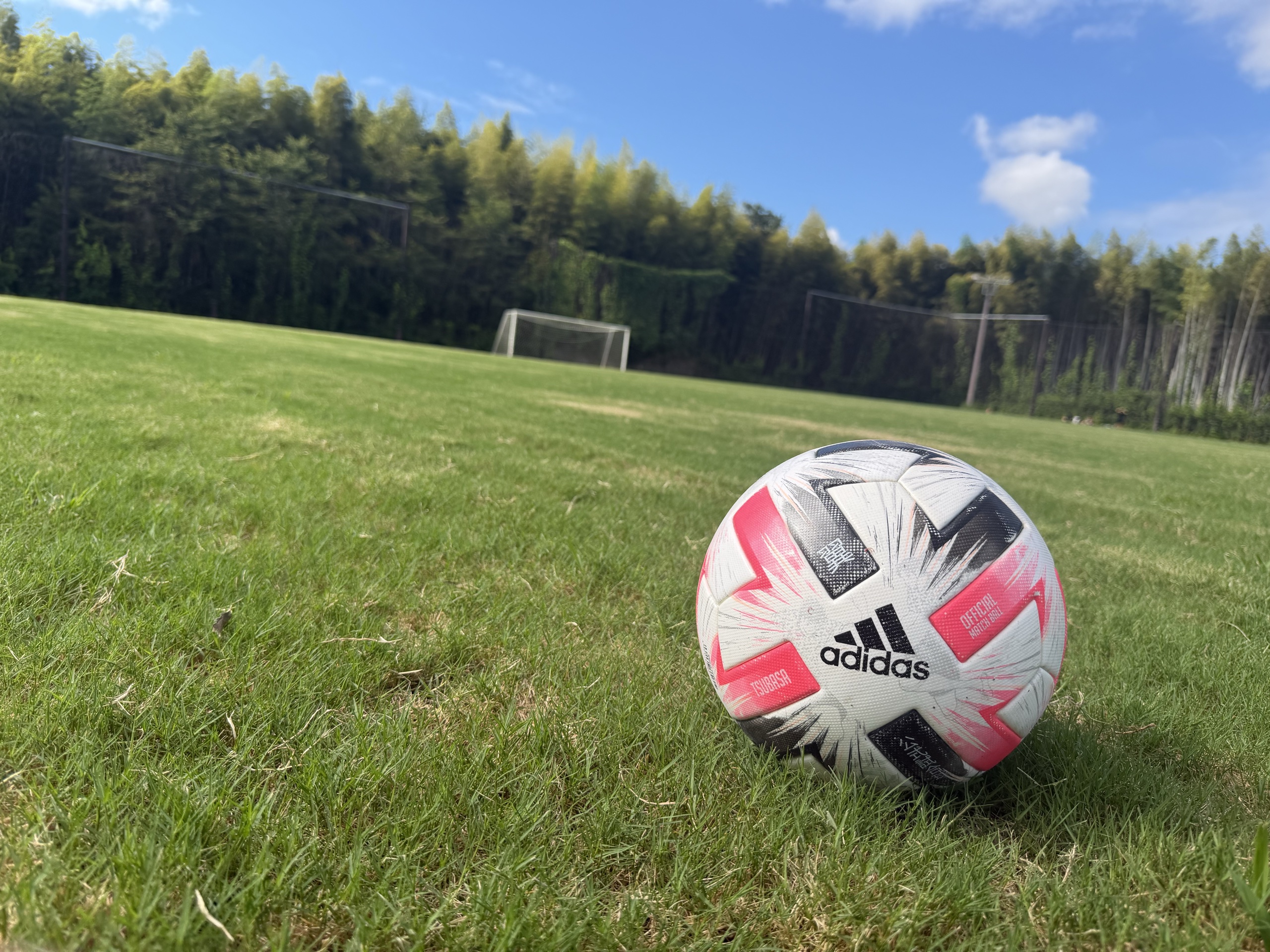 緑のピッチに置かれたサッカーボール
